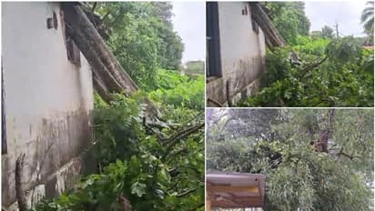 മോർച്ചറി കെട്ടിടത്തിന് മുകളിൽ മരം വീണു, കെട്ടിടം തകർന്നു; പോസ്റ്റ്മോർട്ടം നടപടികൾ നിർത്തി, മൃതദേഹം മാറ്റി