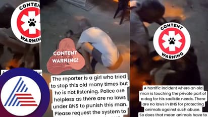 ಇದೆಂತಾ ಕೌರ್ಯದ ವಿಡಿಯೋ? ಮಲಗಿದ್ದ ಬೀದಿ ನಾಯಿ ಮೇಲೆ ಲೈಂಗಿಕ ದೌರ್ಜನ್ಯ ಎಸಗಿದ ವೃದ್ಧ!