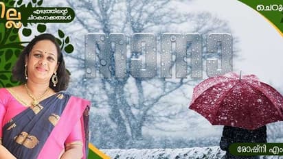  Malayalam Short Story : നാനാ, രോഷ്‌നി എം ജി എഴുതിയ ചെറുകഥ