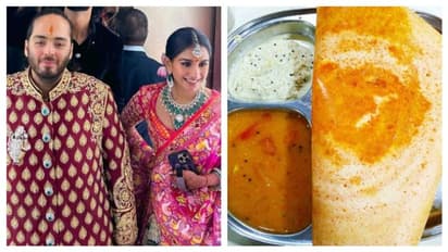 सिर्फ अंबानी नहीं, 'मैसूर कैफे' का दीवाना है ये फेमस खानदान, जानिए क्या है खास