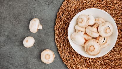 കൂൺ പ്രിയരാണോ നിങ്ങൾ? എങ്കിൽ ഇതറി‍ഞ്ഞിരിക്കൂ 