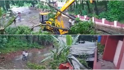 അങ്കമാലിയിലെ ഫയർഫോഴ്സ് ഓഫീസിന് മുകളിലേക്ക് മരം വീണു, ജെസിബി എത്തിച്ച് നീക്കി