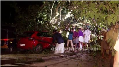 തലസ്ഥാനത്ത് ഓടിക്കൊണ്ടിരുന്ന കാറിന് മുകളിൽ മരം വീണു, സ്ത്രീ മരിച്ചു; മലപ്പുറത്ത് യുവാവ് കുളത്തിൽ മരിച്ച നിലയിൽ