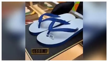 ഹവായ് ചെരിപ്പിന്റെ പേര് ഫാഷൻ സനൂബയാക്കി, വില ഒരുലക്ഷം! എന്തൊരു പറ്റിക്കലാണെന്ന് നെറ്റിസൺസ്