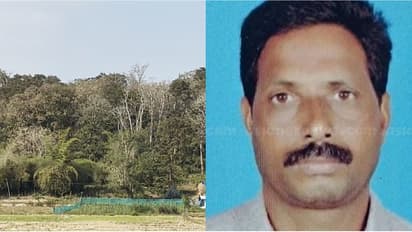 വയനാട്ടിൽ മൃഗങ്ങളുടെ കാടിറക്കത്തിന് ഇനിയും പരിഹാരമില്ല; ഈ വർഷം കാട്ടാന ആക്രമണത്തിൽ പൊലിഞ്ഞത് നാലാമത്തെ ജീവന്