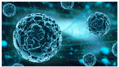 चांदीपुरा वायरस ने फिर निगला एक बच्चे को, जान लें जानलेवा बीमारी के बारे में