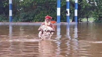 Kerala: Elderly man saves puppies from flooded temple in Aluva; video goes viral