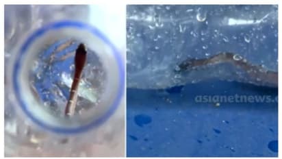 താലൂക്ക് ആശുപത്രിയിൽ യുവതിക്ക് പാമ്പുകടിയേറ്റ സംഭവം; സൂപ്രണ്ടിനോട് റിപ്പോർട്ട് തേടി ഡിഎംഒ