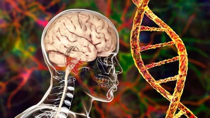 എന്താണ് ഡിമെന്ഷ്യ? തിരിച്ചറിയാം ഈ ലക്ഷണങ്ങളെ...