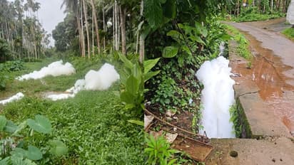  ഓമശ്ശേരിയിലെ തോട്ടില്‍ വെള്ളത്തിൽ നുരഞ്ഞുപൊങ്ങി വെളുത്ത പത, ആശങ്കക്കൊടുവില്‍ കാരണം കണ്ടെത്തി നാട്ടുകാര്‍