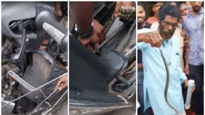 സ്കൂട്ടർ നിർത്തി കടയിൽ കയറി, തിരിച്ചെത്തി ഹെൽമെറ്റ് എടുക്കാൻ ഡിക്കി തുറന്നപ്പോൾ അകത്ത് പെരുമ്പാമ്പിന്റെ കുഞ്ഞ്