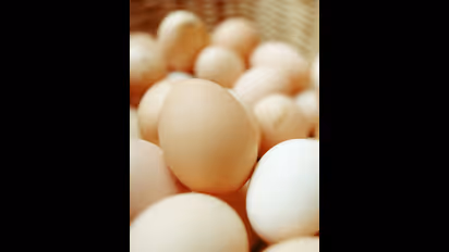 முட்டை அதிகமா சாப்பிட்டா என்னென்ன பிரச்சனைகள் வரும் தெரியுமா?