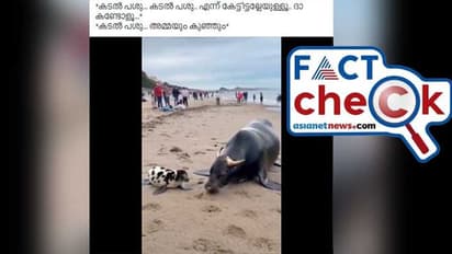 വൈറല് വീഡിയോയില് കാണുന്നത് കടല്പശുവാണോ? Fact Check
