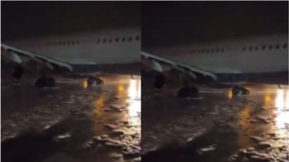 ടേക്ക് ഓഫിനിടെ വിമാനത്തില് തീ; ഉടനടി 186 യാത്രക്കാർ എമർജൻസി എക്സിറ്റ് വഴി പുറത്തേക്ക്, എല്ലാവരും സുരക്ഷിതർ