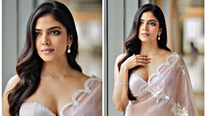 ജസ്റ്റ് ലുക്കിംഗ് ലൈക്ക് എ വൗ..; സാരിയിൽ അതീവ സുന്ദരിയായി മാളവിക മോഹനന്‍