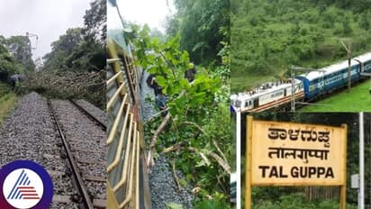ಬೆಂಗಳೂರು ತಾಳಗುಪ್ಪ ರೈಲ್ವೆ ಮಾರ್ಗದಲ್ಲಿ ಬಿದ್ದ ಬೃಹತ್ ಮರ; ರೈಲು ಸಂಚಾರ ವ್ಯತ್ಯಯ