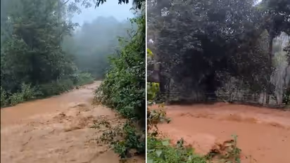 IMD issues red alert: Heavy rains to lash Gujarat and THESE states; check details
