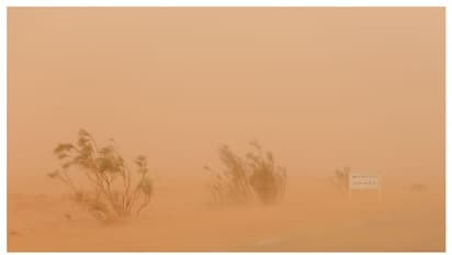 കുവൈത്തിൽ ശക്തമായ പൊടിക്കാറ്റ്; സ്കൂളുകൾ ഓണ്ലൈനിലേക്ക് മാറ്റാൻ നിർദേശം