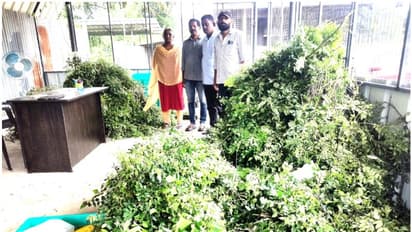 നമ്മുടെ കറികളുടെ രുചിയേറ്റുന്ന 'രഹസ്യം' വിദേശത്തേക്ക്; ആദ്യം 500 കിലോ, പിന്നെ ആഴ്ചയിൽ 2 തവണ കയറ്റുമതി ചെയ്യും