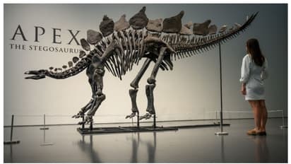 അന്ന് മാലിന്യം, ഇന്ന് മുന്നൂറ് കോടി; ദിനോസര്‍ അസ്ഥികൂടത്തിന് ലേലത്തില്‍ ലഭിച്ചത്  373 കോടി രൂപ