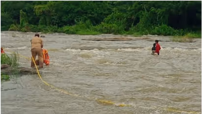 ചിറ്റൂർ പുഴയിൽ കുടുങ്ങി 2 കുട്ടികൾ; രക്ഷകരായി ഫയർഫോഴ്സ്, കരയ്ക്കെത്തിച്ചത് അതിസാഹസികമായി