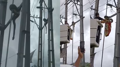 മലപ്പുറത്ത് ട്രാൻസ്ഫോർമറിന് മുകളിൽ കൂറ്റൻ പെരുമ്പാമ്പ്, ക്രെയിൻ എത്തിച്ച് സാഹസികമായി രക്ഷപ്പെടുത്തി