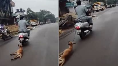 ಉಡುಪಿಯಲ್ಲಿ ಸ್ಕೂಟರ್‌ಗೆ ನಾಯಿ ಕಟ್ಟಿ ದರದರನೆ ಎಳೆದೊಯ್ದು ವಿಕೃತಿ, ಭಾರಿ ಆಕ್ರೋಶ!