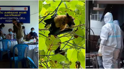 நிபா வைரஸ் தாக்குதலுக்கு பலியான 14 வயது சிறுவன்.. கேரளாவில் அதிர்ச்சி.. உஷார் நிலையில் அரசு!