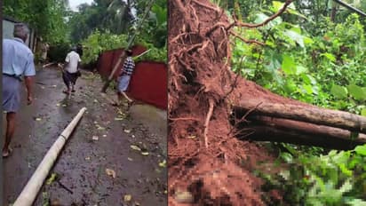 കോഴിക്കോട് കനത്ത നാശം വിതച്ച് മിന്നല് ചുഴലിക്കാറ്റ്; അഞ്ച് വീടുകള് തകര്ന്നു, നിരവധി മരങ്ങള് കടപുഴകി വീണു