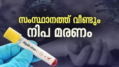 സംസ്ഥാനത്ത് വീണ്ടും നിപ മരണം, ചികിത്സയിലായിരുന്ന മലപ്പുറം സ്വദേശിയായ 14 കാരൻ മരിച്ചു