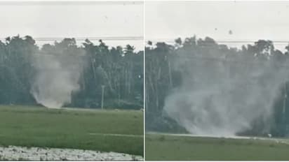 തൃശൂരിലെ നന്തിപുരത്ത് മിന്നൽ ചുഴലി; നിരവധി വൻമരങ്ങൾ കടപുഴകി, വൈദ്യുതി ലൈനുകൾ തകർന്നു