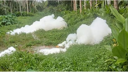 വെള്ളം കാണാത്ത തരത്തിൽ കിലോമീറ്ററുകളോളം പത പരന്നൊഴുകി; തോട്ടിലേക്ക് രാസമാലിന്യം ഒഴുക്കിയ സ്ഥാപനം അടപ്പിച്ചു