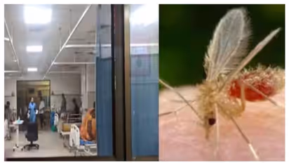 ചാന്ദിപുര വൈറസ് ബാധ: മരണം 24 ആയി; കൺട്രോള് റൂം ആരംഭിച്ച് സർക്കാർ