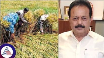 ರೈತರಿಗೆ ಕಳೆದೊಂದು ವರ್ಷದಲ್ಲಿ 1,970 ಕೋಟಿ ರೂ. ಬೆಳೆ ವಿಮೆ ಪರಿಹಾರ ಕೊಡಿಸಿದ್ದೇವೆ: ಕೃಷಿ ಸಚಿವ ಚಲುವರಾಯಸ್ವಾಮಿ