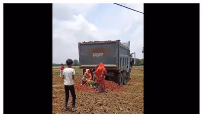 உயிரோடு மண்ணுக்குள் புதைக்கப்பட்ட பெண்கள்; ம.பி.யில் நடந்த குலை நடுங்க செய்யும் கொடூரம்