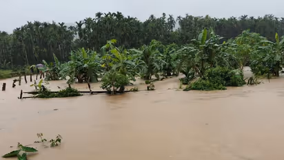 Karnataka: Chikkamagaluru faces loss of over Rs 100 crore due to monsoon, ban for Mullayanagiri peak continues