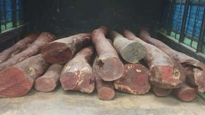 ಆಂಧ್ರದಿಂದ ತುಮಕೂರಿಗೆ ಸಾಗಾಟ ವೇಳೆ ದಾಳಿ: ಒಂದು ಕೋಟಿ ಮೌಲ್ಯದ ರಕ್ತಚಂದನ ವಶ..!