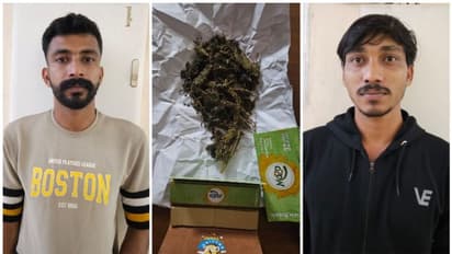 സ്കൂൾ പരിസരത്ത് കഞ്ചാവ് വിൽപ്പന; 2 പേർ പിടിയിൽ, ജയിലിൽ നിന്ന് ഇറങ്ങിയ യുവാവ് രണ്ടാഴ്ക്കകം വീണ്ടും അറസ്റ്റിൽ