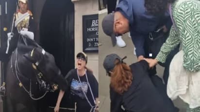 വീഡിയോ! ചിത്രം പകർത്താൻ ചെന്നു, കുതിരയുടെ കടിയേറ്റ് തലകറങ്ങി ഇരുന്നുപോയി യുവതി