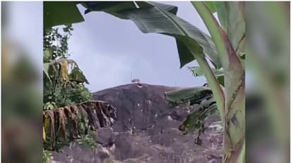 വീണ്ടും പുലിയെ കണ്ടെന്ന് നാട്ടുകാർ, ദൃശ്യങ്ങളും പുറത്ത്; പാക്കണ്ടത്ത് വനംവകുപ്പ് പരിശോധന തുടരുന്നു