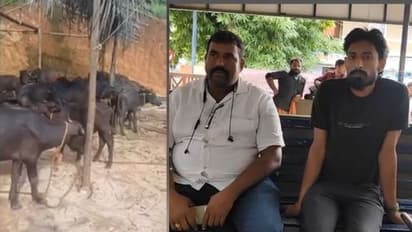 നിറയെ പോത്തുമായി വന്ന ലോറി കത്തികാട്ടി തട്ടിയെടുത്തു, തിരികെ കൊടുത്തപ്പോൾ കാലി, വൈകാതെ പൊക്കി പൊലീസ്