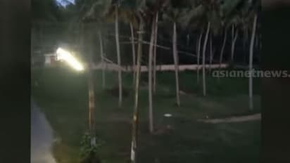 ഇന്നലെ ടെക്നോസിറ്റി ക്യാമ്പസിൽ ഇന്ന് ഹാപ്പിലാൻഡിന് സമീപം, തിരുവനന്തപുരത്ത് ജനവാസ കേന്ദ്രത്തിൽ കാട്ടുപോത്ത്