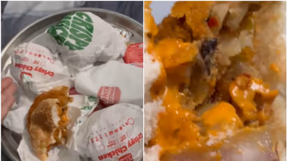 Viral Video: Insect found in Burger King Meal, sparks online outrage [watch]