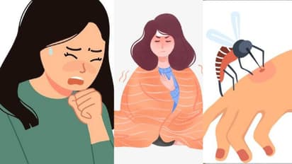 बारिश में डेंगू सहित ये बीमारियां फैलाती हैं खतरा, तुरंत कर लें बचने के उपाय