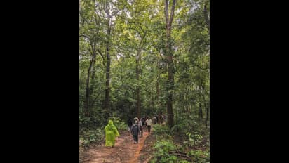 ಮಲೆನಾಡಿನ ಉಳಿವಿಗಾಗಿ ಗಿಡ ನೆಟ್ಟು ಮಾದರಿಯಾದ ನಟಿ ಶ್ವೇತಾ ಪ್ರಸಾದ್ 