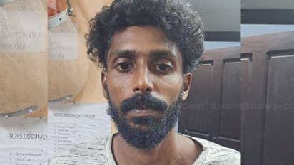 90 സെൻ്റിമീറ്ററോളം വളര്ന്ന നാല് ചെടി; വീട്ടുമുറ്റത്ത് കഞ്ചാവ് വളര്ത്തിയ യുവാവിനെ എക്സൈസ് അറസ്റ്റ് ചെയ്തു
