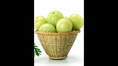 சொன்னா நம்பமாட்டீங்க.. வெறும் வயிற்றில் நெல்லிக்காய் ஜூஸ் குடிப்பதால் இத்தனை நன்மைகளா?