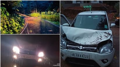 ഓടി കൊണ്ടിരുന്ന കാറിന് മുകളിൽ മരം വീണു, കുഞ്ഞടക്കമുള്ളവർ രക്ഷപ്പെട്ടത് തലനാരിഴയ്ക്ക് 