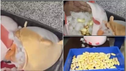 ഒറ്റനോട്ടത്തില് കളിപ്പാട്ടങ്ങൾ, ഉള്ളില് പഞ്ഞിക്കൊപ്പം കൊക്കെയ്ന് കാപ്സ്യൂളുകള്; കയ്യോടെ പൊക്കി സിബിഐ