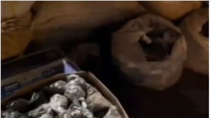 ഫാക്ടറിയില് റെയ്ഡ്; പരിശോധന നടത്തിയപ്പോള് പിടികൂടിയത് വന് തോതിലുള്ള പുകയില ഉല്പ്പന്നങ്ങൾ